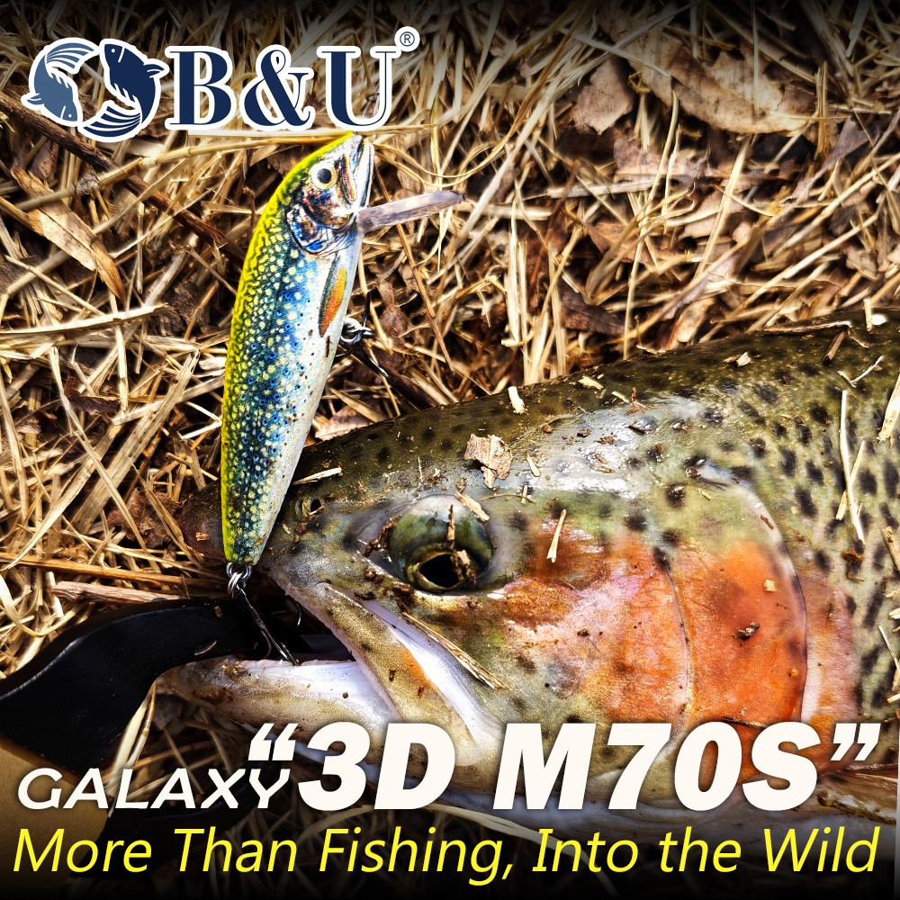 B&U Fishing Lures Sinking Minn - Trout Fishing Lure 评论和价格