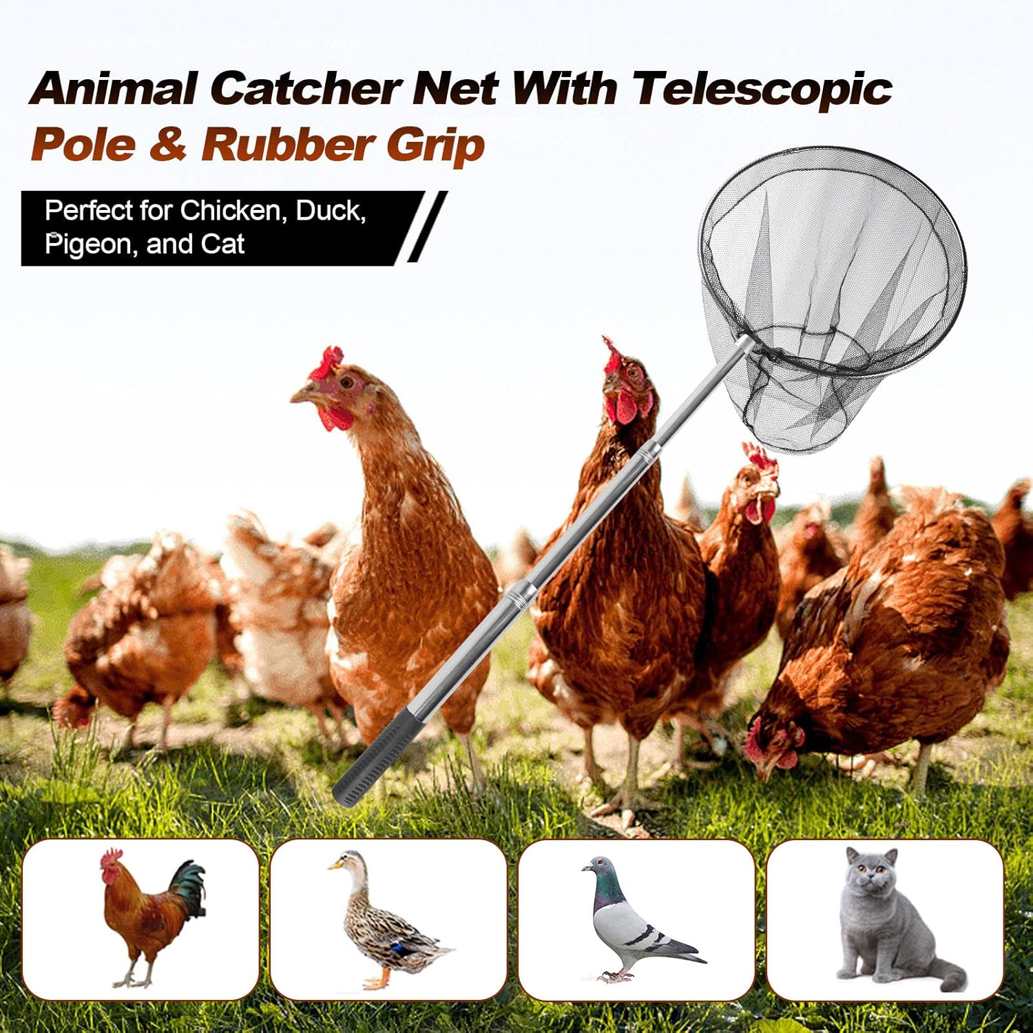 Animal Catcher Net, Chicken Ca - Fishing Net 评论和价格