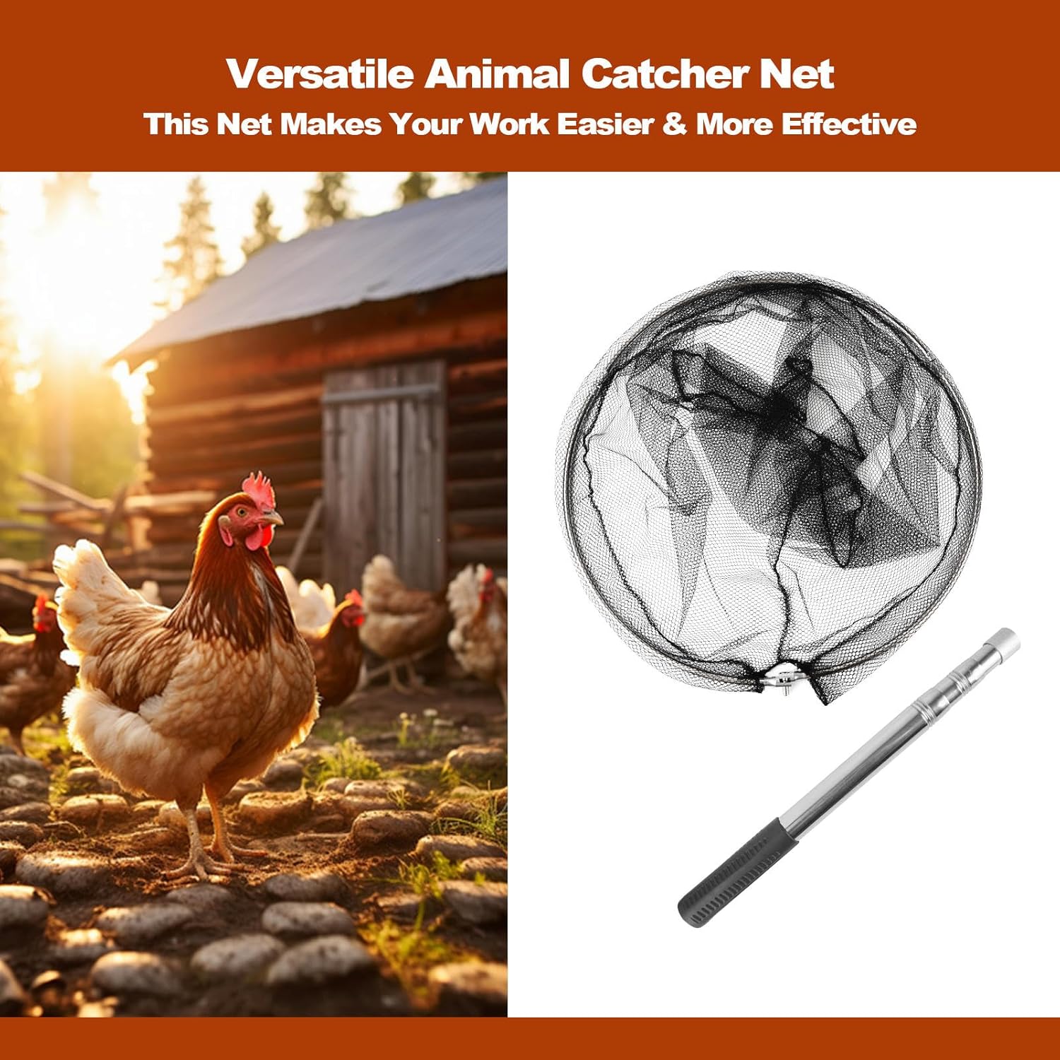 Animal Catcher Net, Chicken Ca - Fishing Net 评论和价格