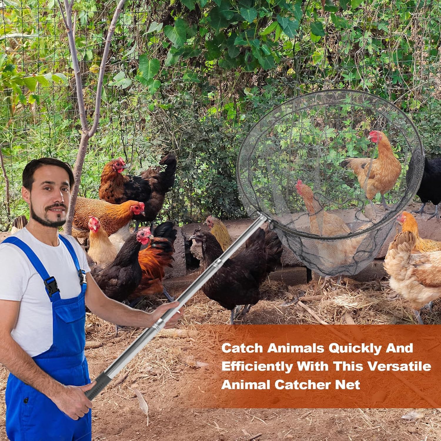 Animal Catcher Net, Chicken Ca - Fishing Net 评论和价格