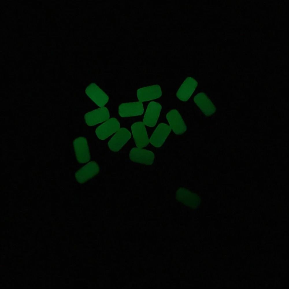 100Pcs/Bag Luminous Fishing So - Night Float Fishing 评论和价格